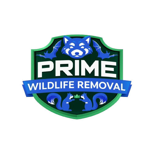 Wildlife Removal & Repair LLC